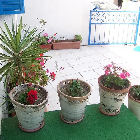 Kusadasi Guest House ゲストハウス 2*
