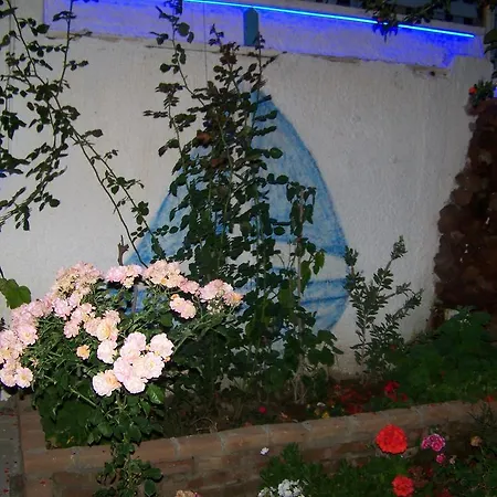 Kusadasi Guest House ゲストハウス クシャダス