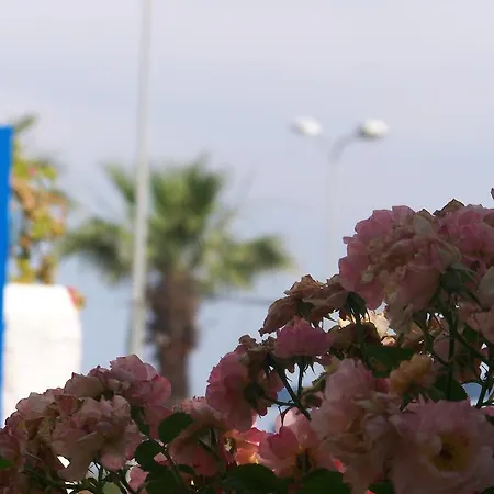 Kusadasi Guest House ゲストハウス クシャダス