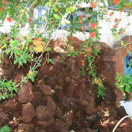 Kusadasi Guest House ゲストハウス