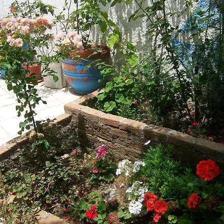 Kusadasi Guest House 2*