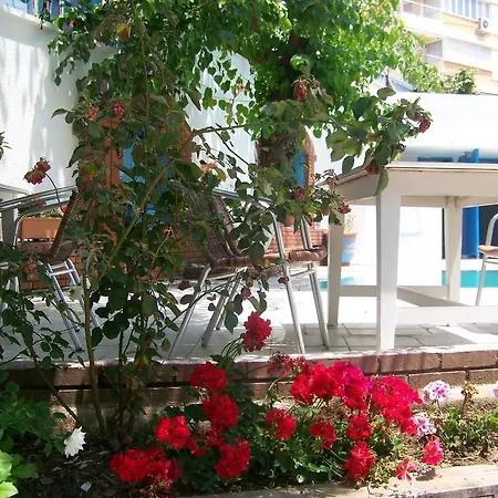 Kusadasi Guest House 2* クシャダス
