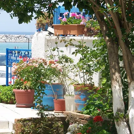 ゲストハウス Kusadasi Guest House 2*
