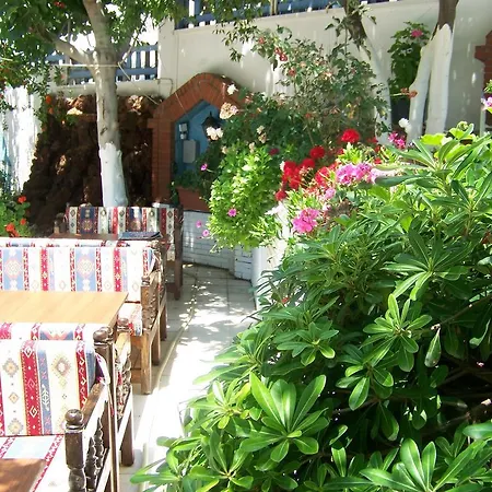 ゲストハウス Kusadasi Guest House 2*