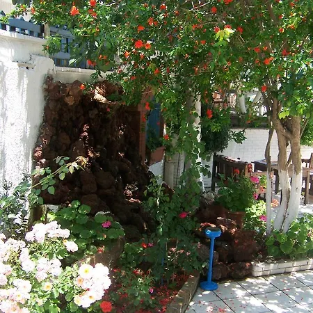 ゲストハウス Kusadasi Guest House クシャダス
