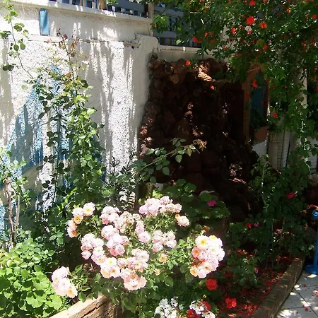 ゲストハウス Kusadasi Guest House 2*